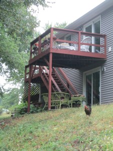 Th e balcony and the patio--don't mind the chicken.