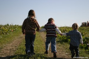 Photo by Matt Clingan