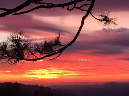 todd steele yosemite