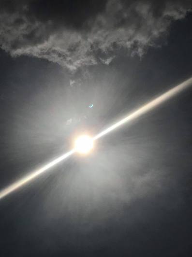 sunshine by Todd Steele