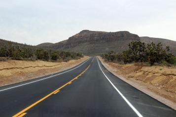Joshua Tree Forest Road